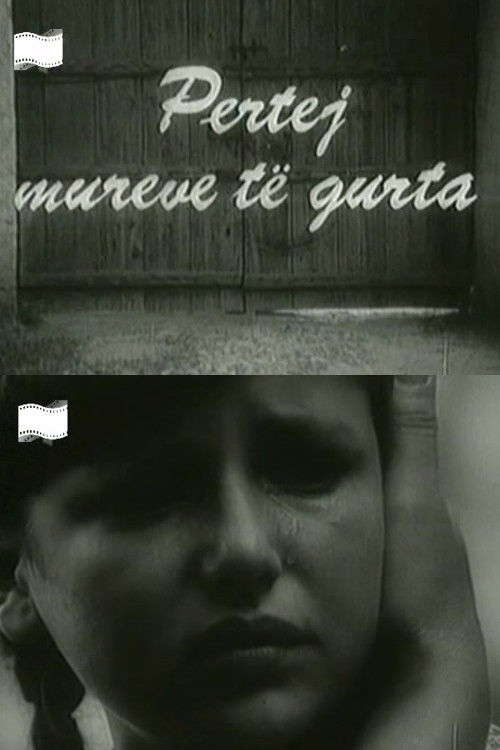 Përtej mureve të gurta (1979) poster