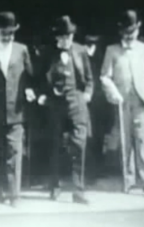 Bartolomé Mitre visita el Museo de Historia (1901) poster