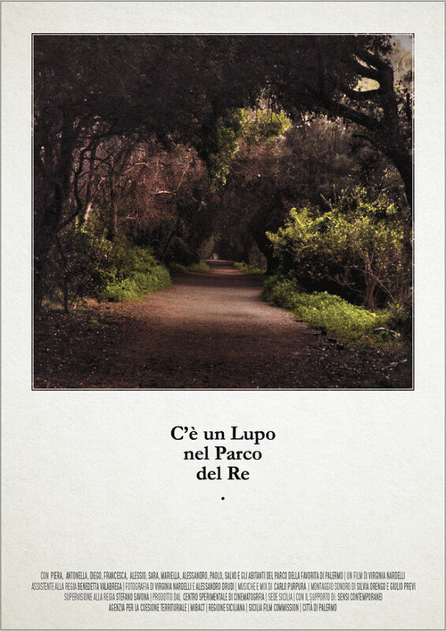 There's a Wolf in the Park of the King (2020) poster