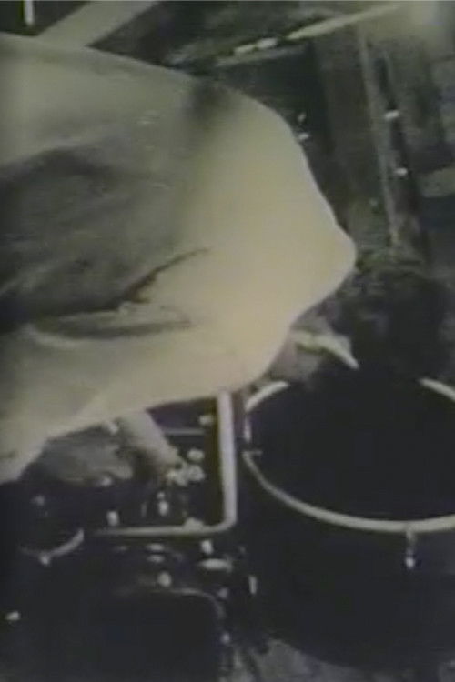 Robert Frank Films (2006) poster