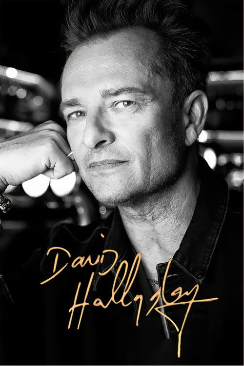 David Hallyday (2023) poster