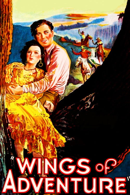 Wings of Adventure (1930) poster
