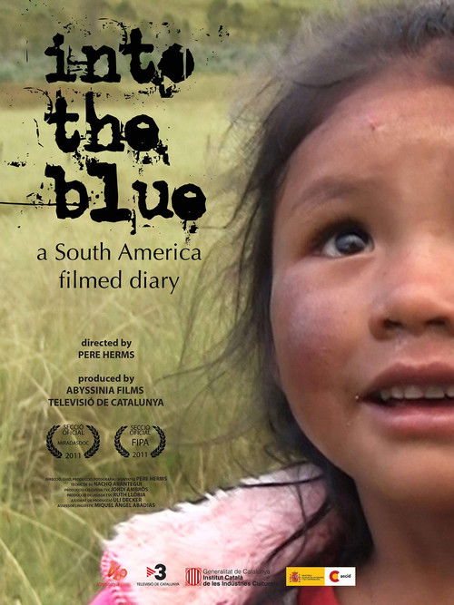 Into the blue, a South America filmed diary (2011) poster
