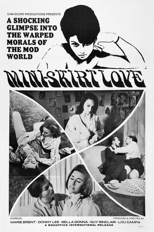 Mini-Skirt Love (1967) poster