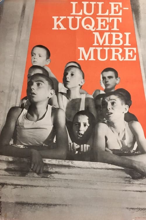 Red Poppies on the Wall (1976) poster