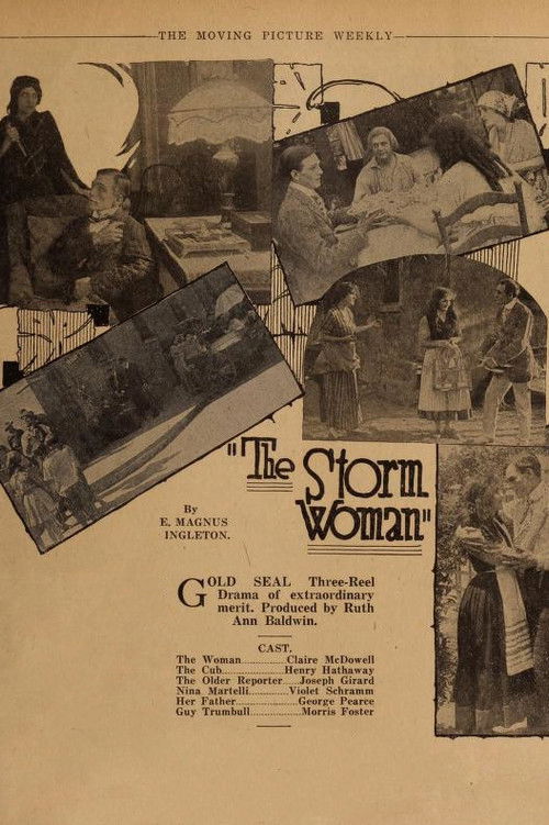 The Storm Woman (1917) poster