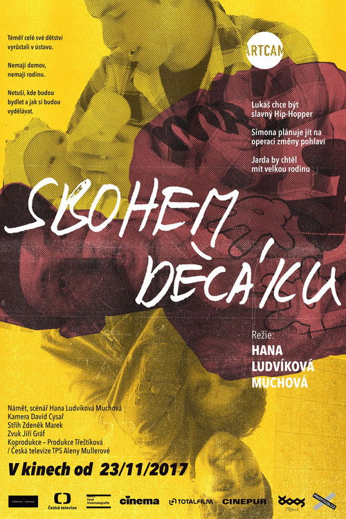 Sbohem děcáku (2017) poster