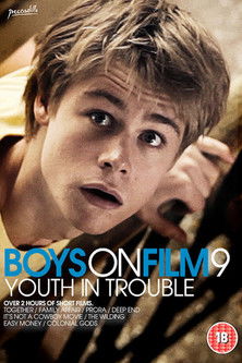 Boys On Film 9: Youth in Trouble (2013) poster