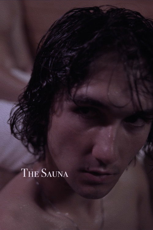 The Sauna poster