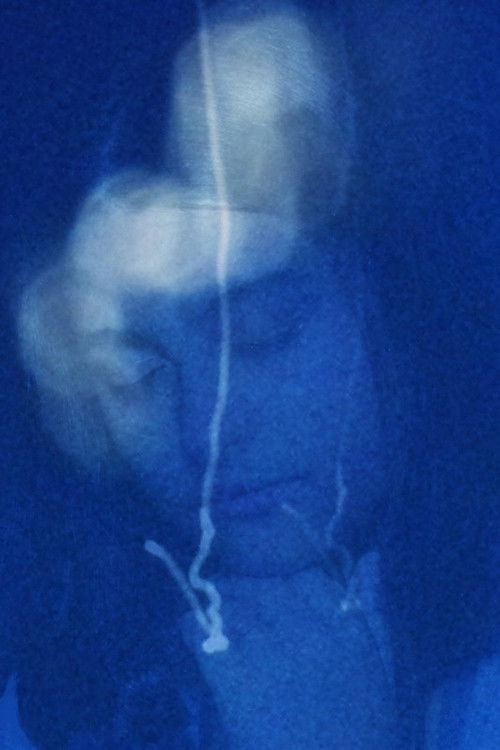 In the shine that appeared in the blue of the sky... (2023) poster