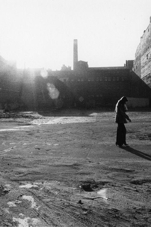 Berlin - From Dawn to Dusk (1981) poster