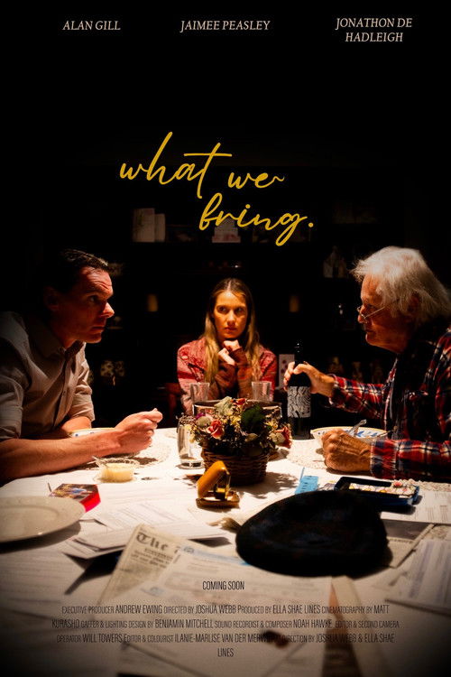 What We Bring (2025) poster