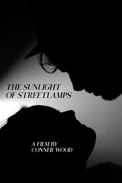 The Sunlight of Streetlamps (2020) poster