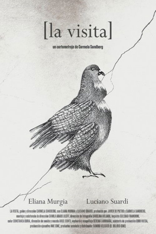 The prospect (2022) poster