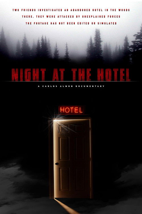 Night at the Hotel (2019) poster