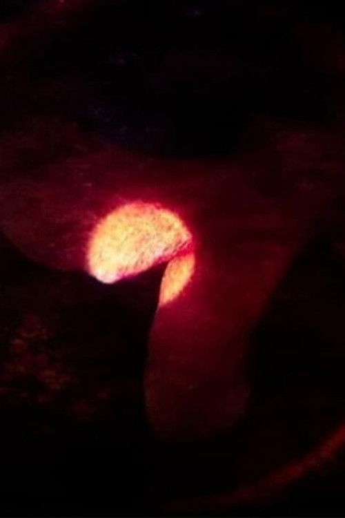 Supermoon Variations (2021) poster