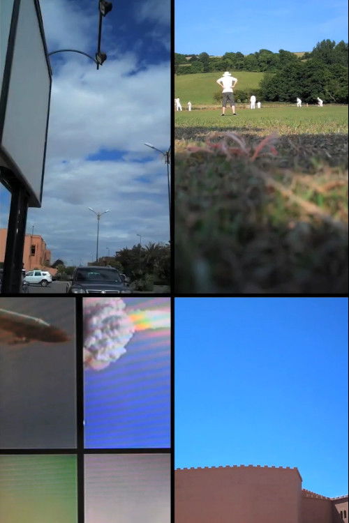 Video In/Audio Out (2014) poster