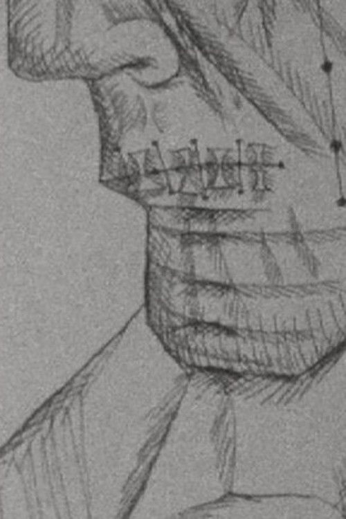 An Old Dog's Diary (2015) poster