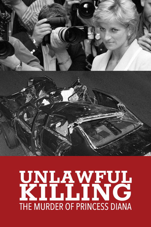Unlawful Killing (2011) poster