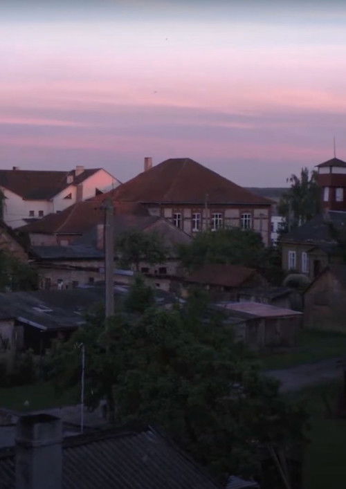 Peafowls Flew Away and Took My Thoughts With Them (2020) poster