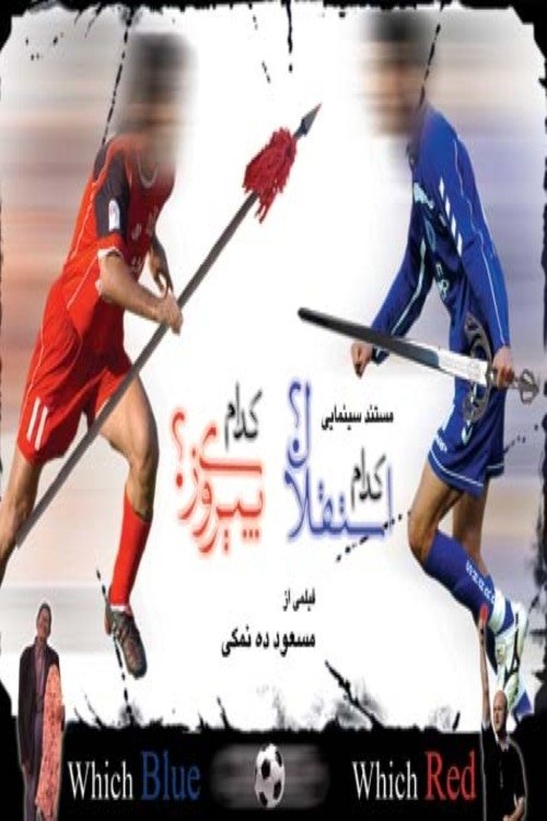 Which Blue, Which Red (2006) poster