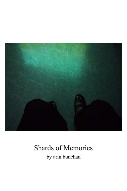 Shards of Memories (2024) poster