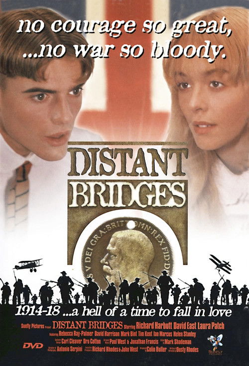 Distant Bridges (1999) poster