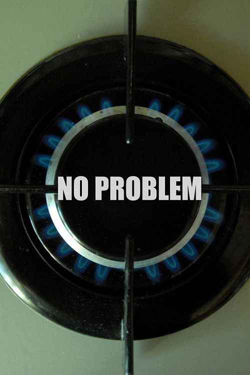No Problem (2010) poster