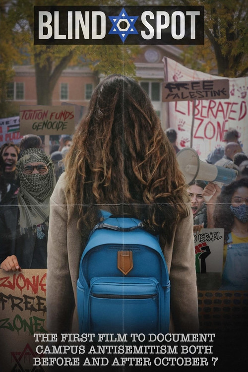 Blind Spot (2024) poster
