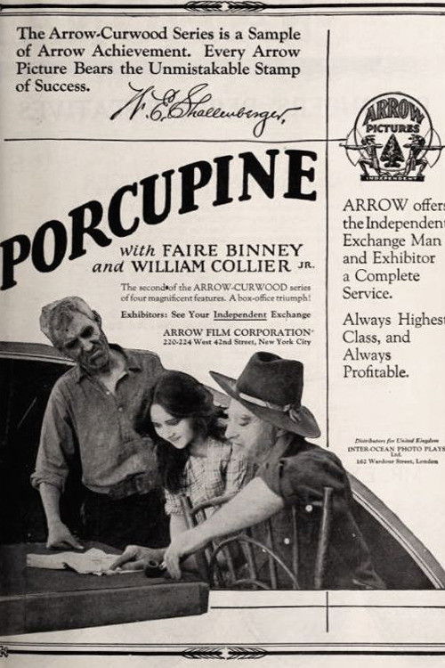 The Girl from Porcupine (1921) poster