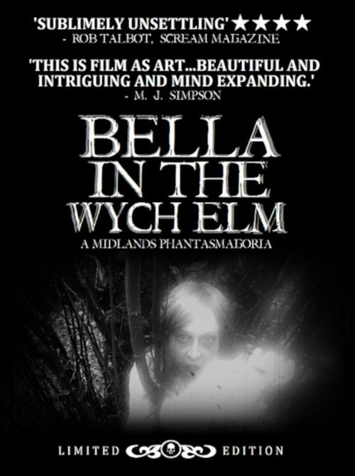 Bella in the Wych Elm (2017) poster