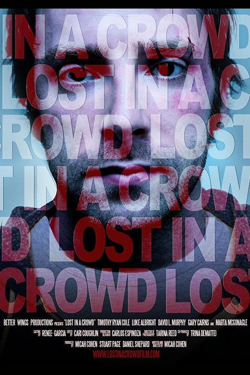 Lost in a Crowd (2011) poster