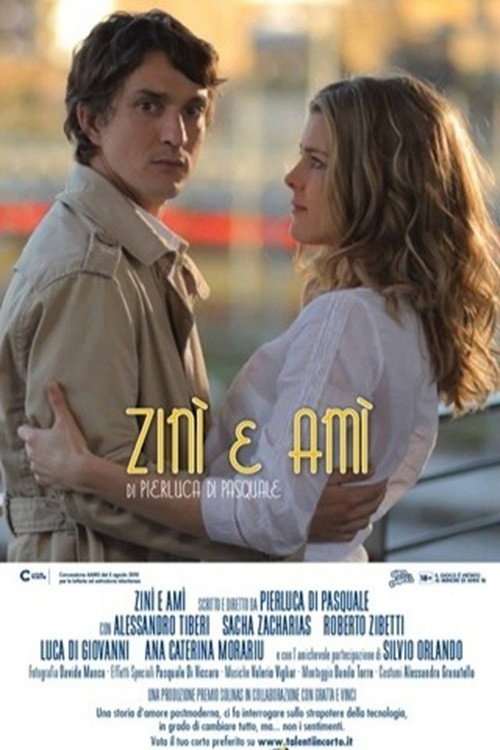 Zinì e Amì (2012) poster