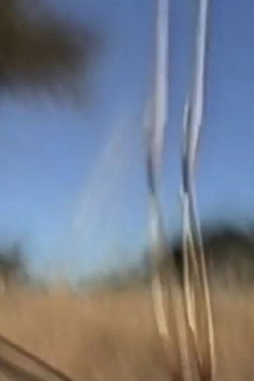 Mount Magnet (2009) poster