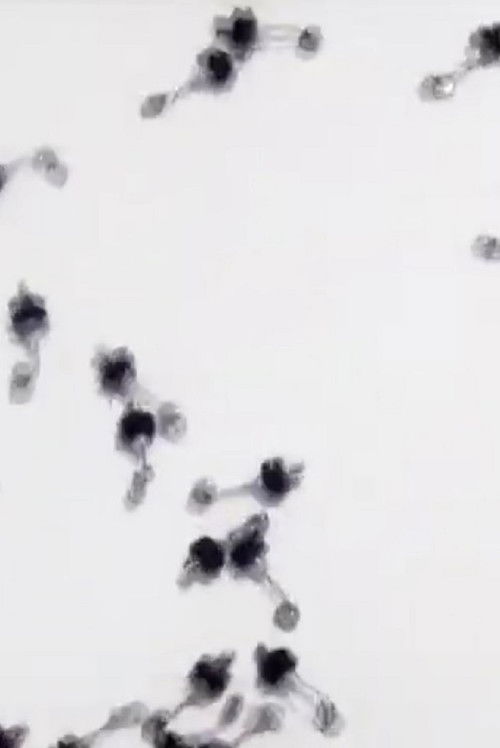 Untitled Sound Objects (2009) poster