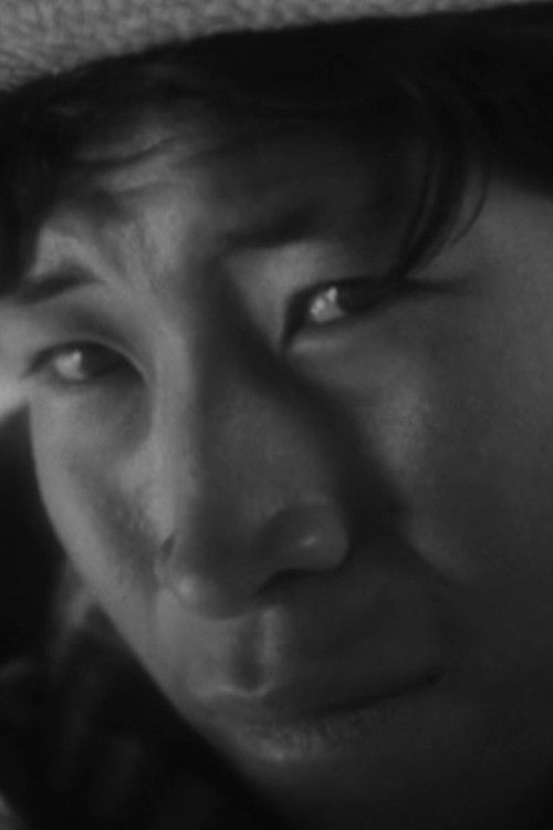 The City Bridges Are Open Again (2020) poster