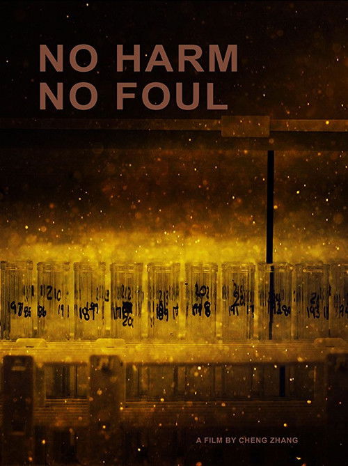 No Harm No Foul (2017) poster