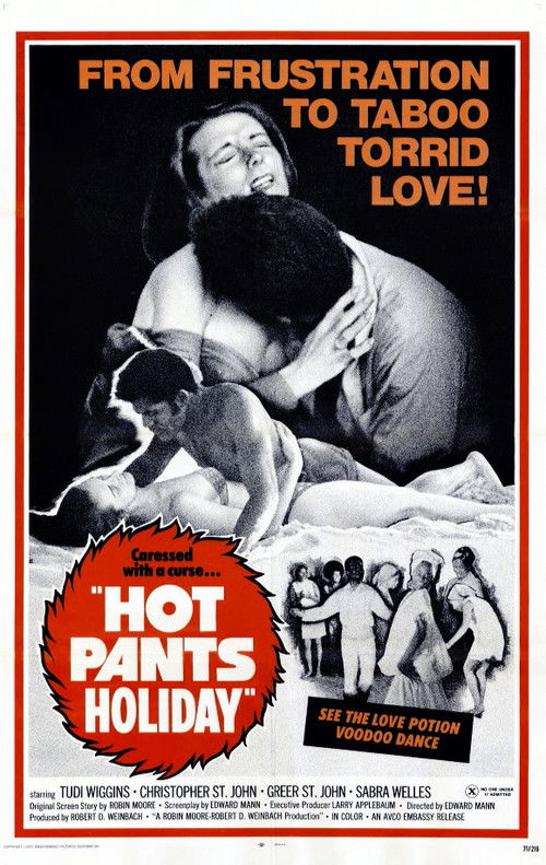 Hot Pants Holiday (1971) poster