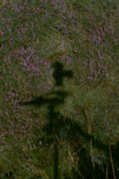 Seven Days (1974) poster