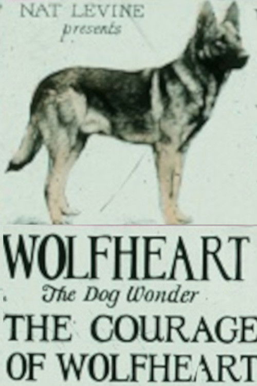 Courage of Wolfheart (1925) poster