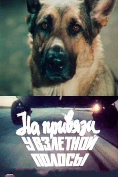 Tethered to the Runway (1989) poster