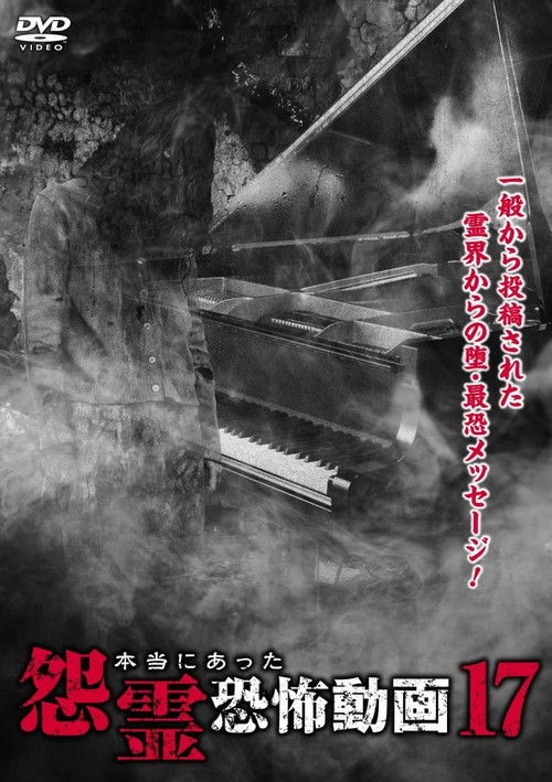 Real Vengeful Ghost Horror Video 17 (2016) poster