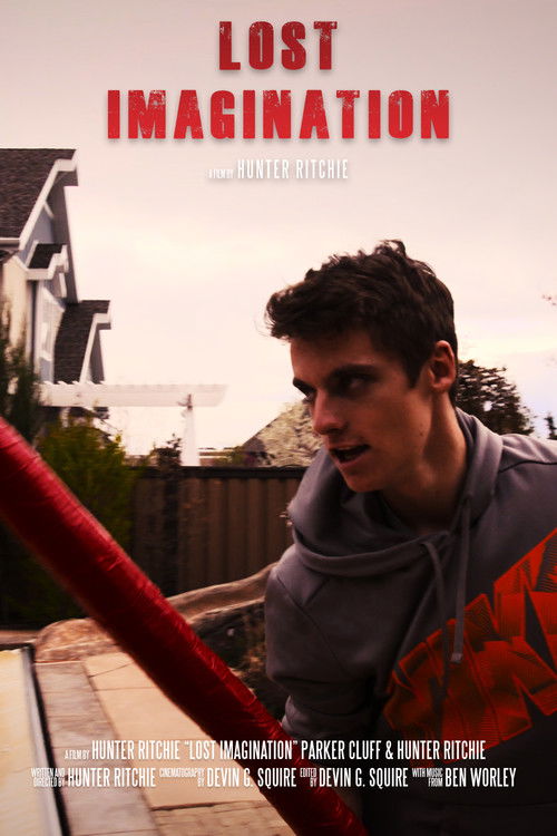 Lost Imagination (2016) poster