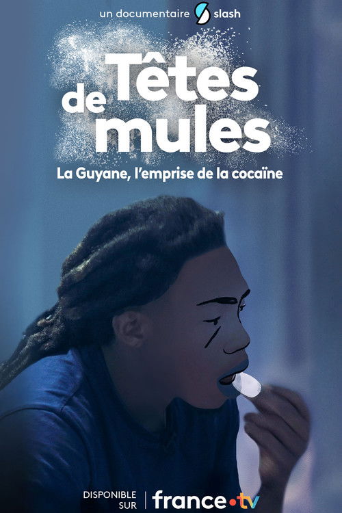 Têtes de mules : La Guyane, l'emprise de la cocaïne (2025) poster