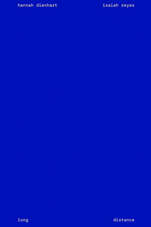 Long Distance (2024) poster