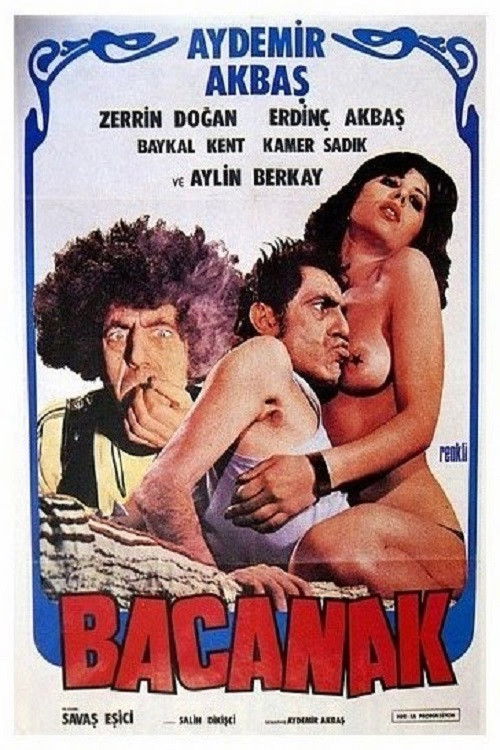 Bacanak (1979) poster