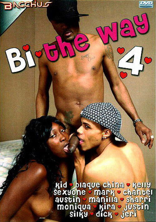 Bi the Way 4 (2007) poster