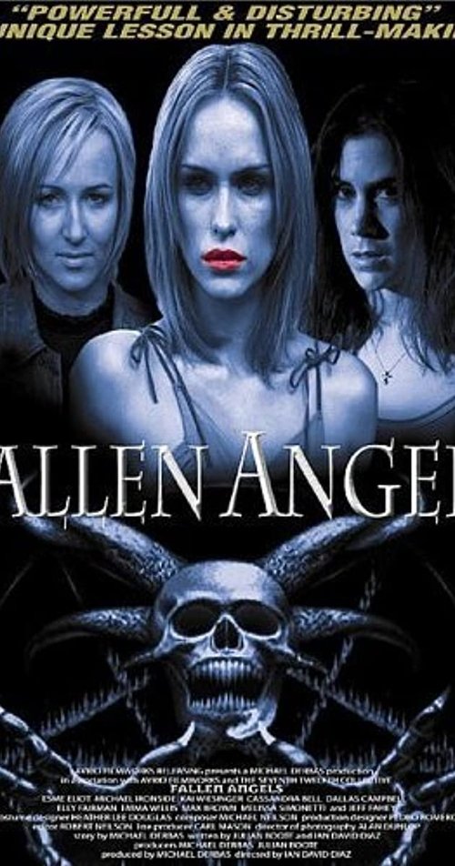 Fallen Angels (2002) poster