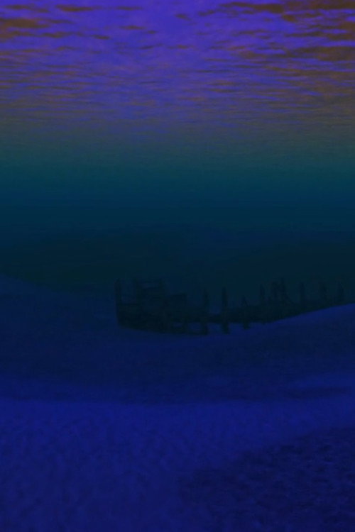 Neptune’s Empire: Second Life ambience (2011) poster