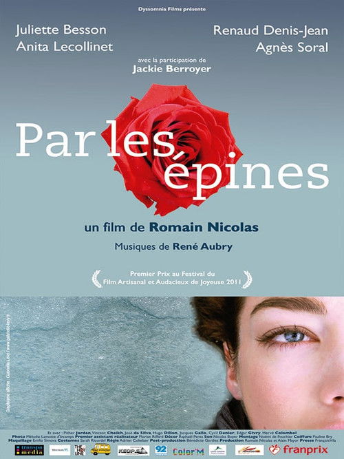 Par les épines - Histoire de quatre printemps (2012) poster